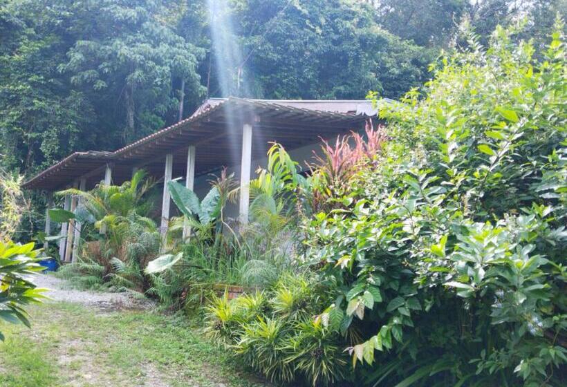 Cabana, Pondok Keladi Langkawi Guesthouse