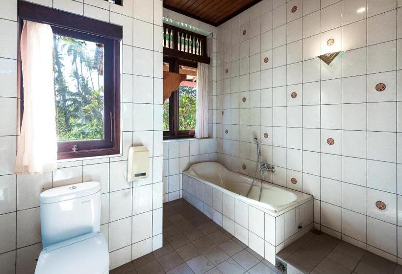 Вилла 1 Спальня, Banyualit Spa 'n Resort Lovina
