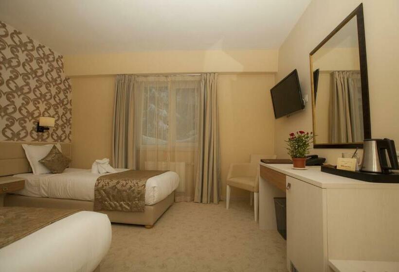 Номер Стандарт Вид на Горы, Family Hotel Saint George