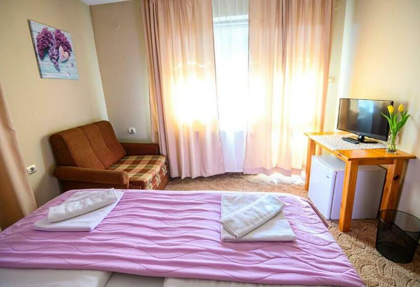 اتاق استاندارد با بالکن, Family Hotel Chichin