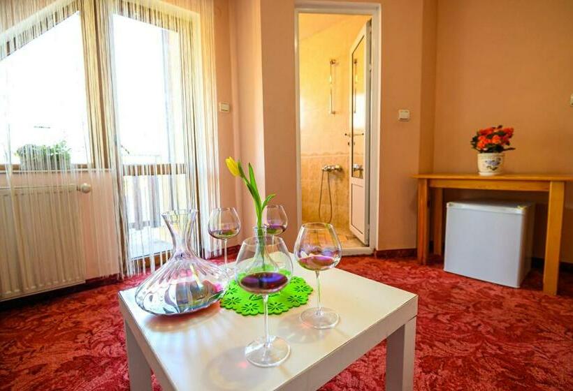 استودیو خانوادگی, Family Hotel Chichin