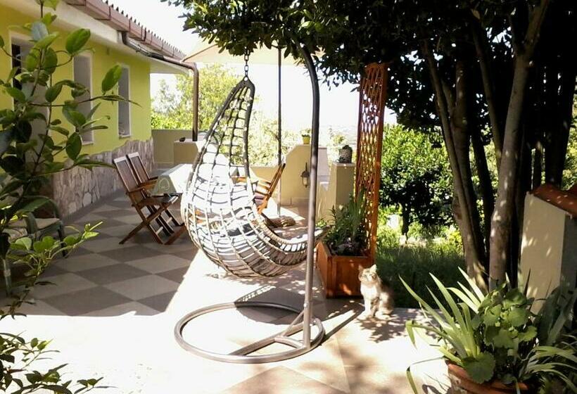 استودیوی استاندارد, B&b Meladormo