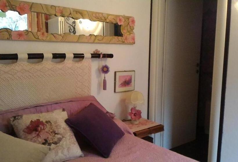 Номер Стандарт, B&b Meladormo