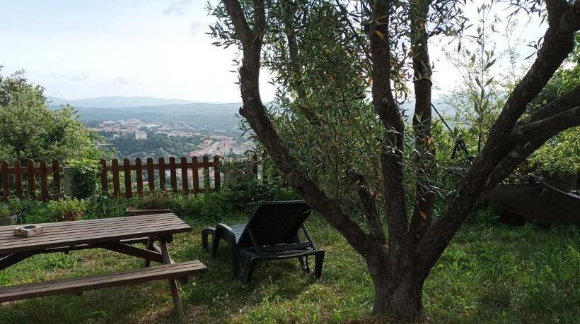 اتاق استاندارد با تخت بزرگ, B&b Meladormo