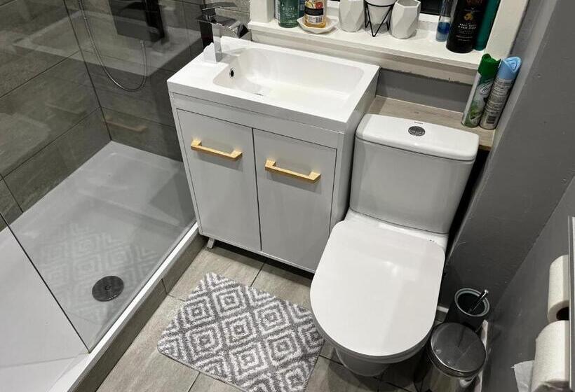 디럭스 룸, Mini Hotel With Home Facilities In Hamilton West