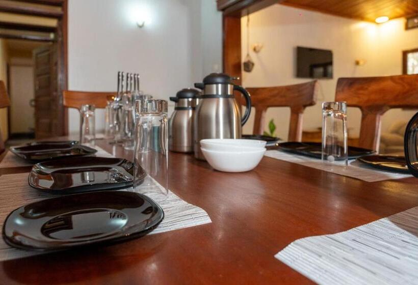 اتاق استاندارد با سرویس بهداشتی مشترک, Green Square Grove