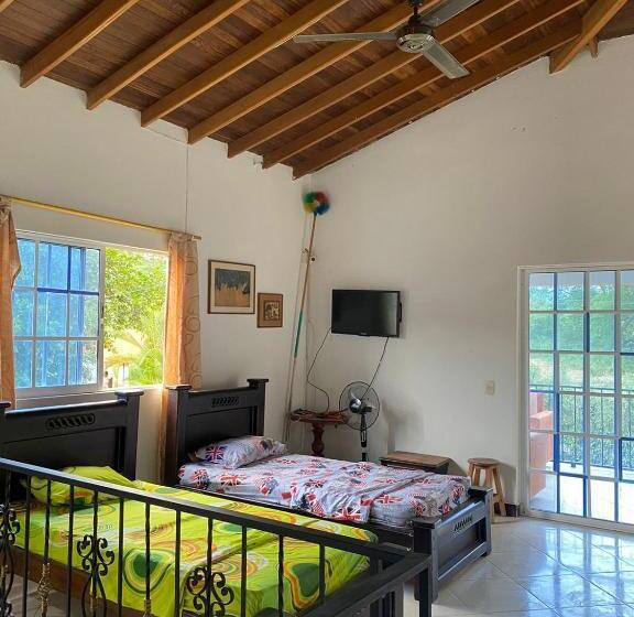Apartamento 1 Dormitório, Apolo Jf