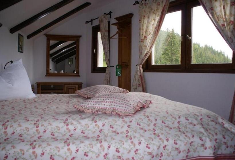 Номер Стандарт, Pensiunea Casa Motului