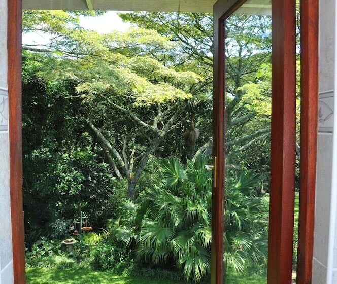 Номер Стандарт, Birds Of Paradise B&b