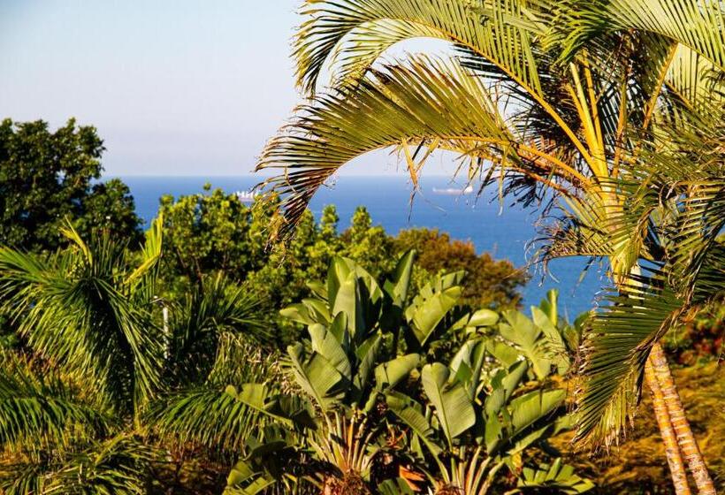 Quarto Estandar Vista Mar, La Loggia Bed And Breakfast