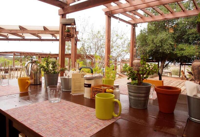 スイート, Casa Mayoral B&b Pet Friendly
