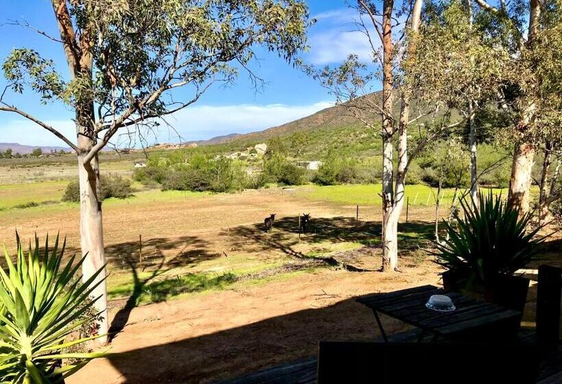スイート, Casa Mayoral B&b Pet Friendly
