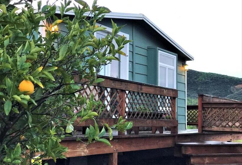 ２ベッドルームハウス, Casa Mayoral B&b Pet Friendly