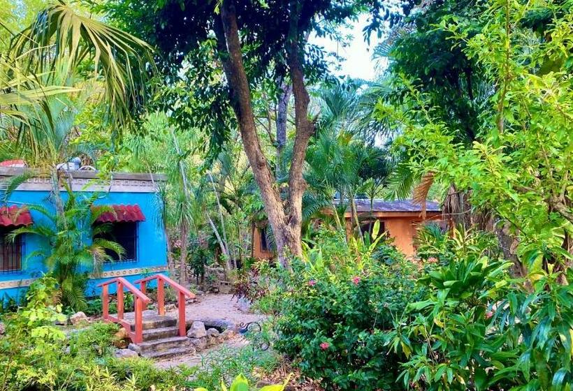 标准间, Gardenhotel Macan Ché B&b