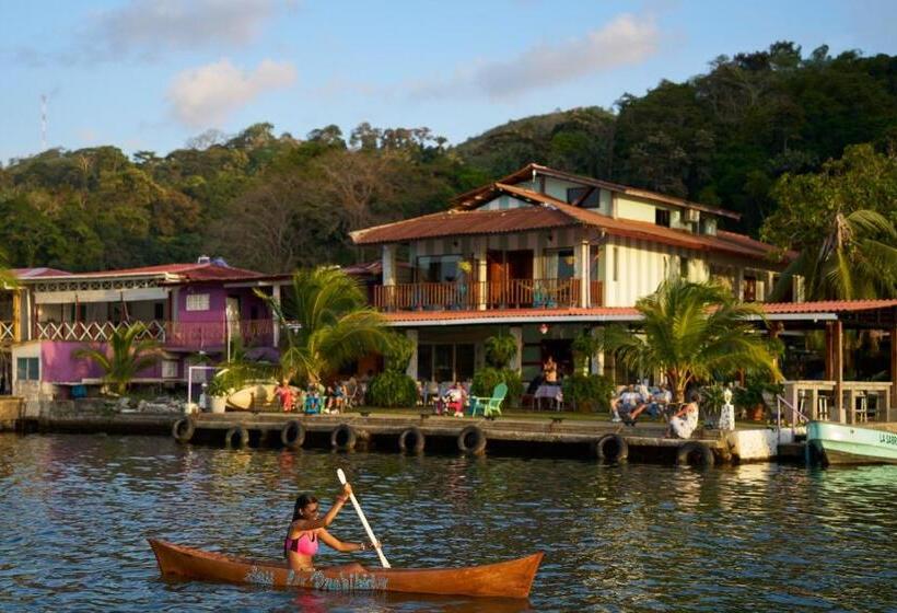 Дом 1 Спальня, Casa Congo & Casa Rayo Verde   Restaurante   Galeria De Arte