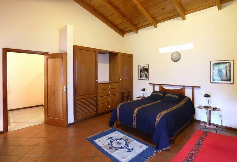 Standard Room, Chez Daniel