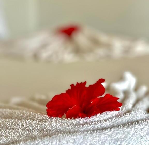 غرفة ديلوكس مطلّة علي البحر مزوَّدة بشُرفة, Jambiani White Sands Bungalows