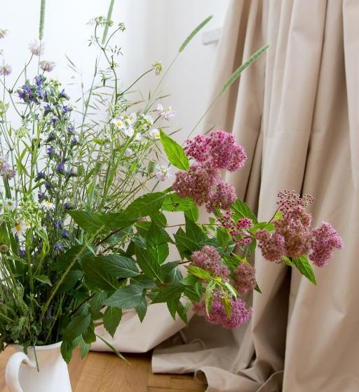 غرفة قياسية, Bed And Breakfast Placzek