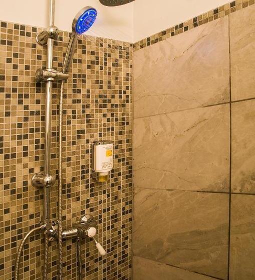 اتاق استاندارد با تخت بزرگ, Dům U Pikové Desítky