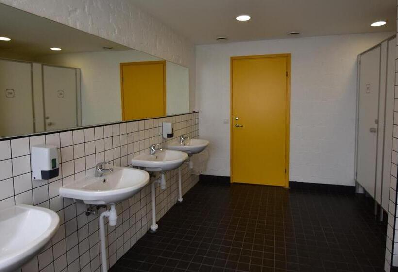 اتاق استاندارد چهارنفره با سرویس بهداشتی مشترک, Saare Automatic Hostel