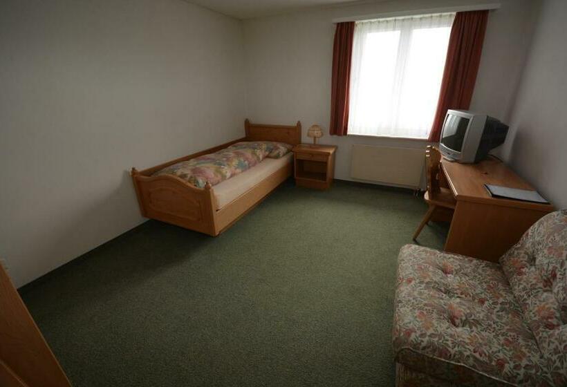 اتاق اکونومی یک تخته, Aparthotel Edy Bruggmann Ag