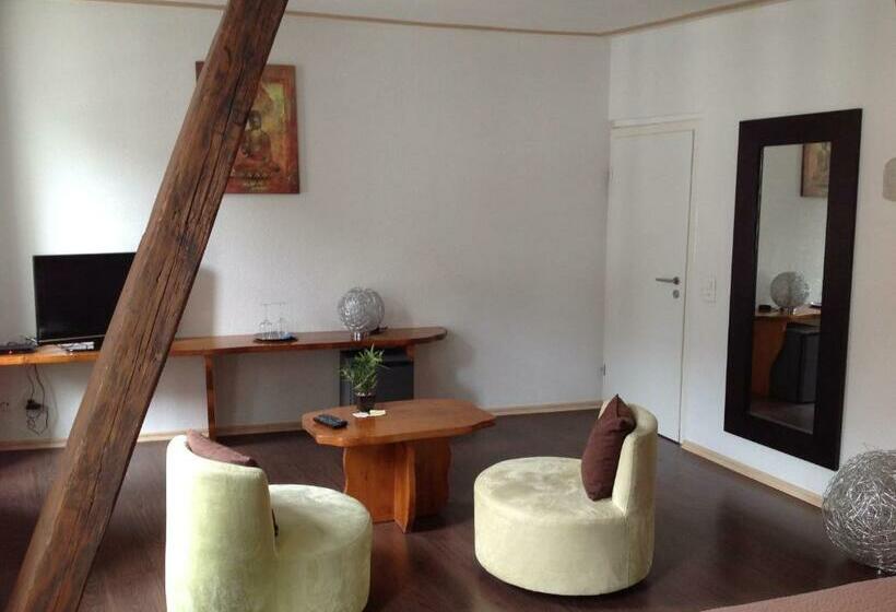 Номер Стандарт, Appart Hôtel Hg