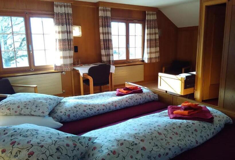 اتاق استاندارد, Heidi Guesthouse Amden Sternen