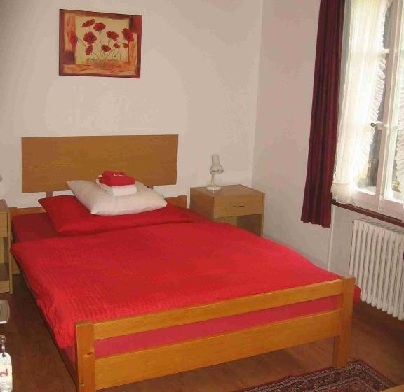 اتاق اکونومی, Restaurant Stechelberg Bed & Breakfast