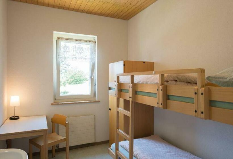 Номер Стандарт Индивидуальный Совместная Ванная, Stein Am Rhein Youth Hostel