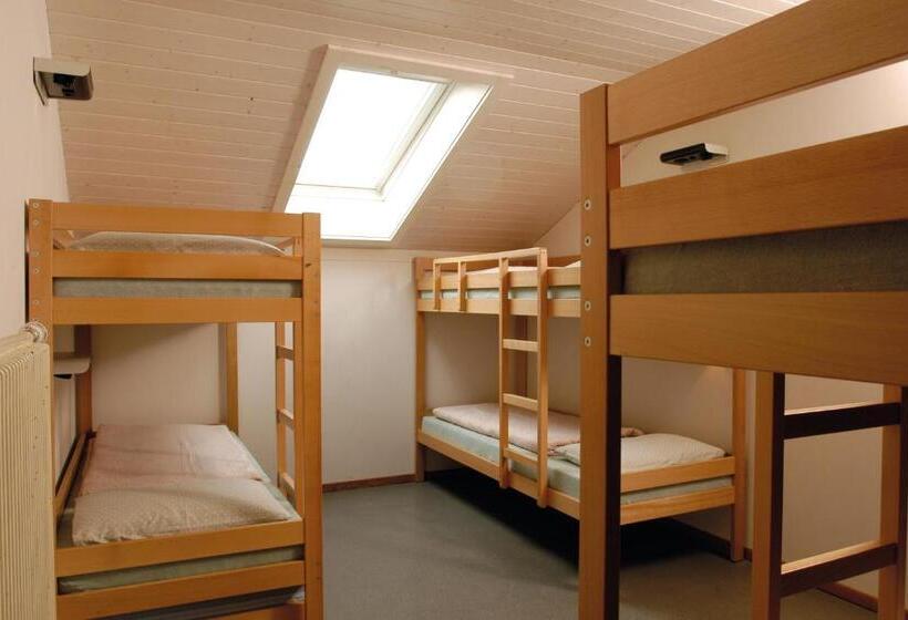 Кровать в Общей Комнате, Stein Am Rhein Youth Hostel