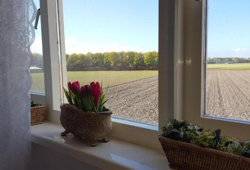 标准间, Logement Hellevoetsluis