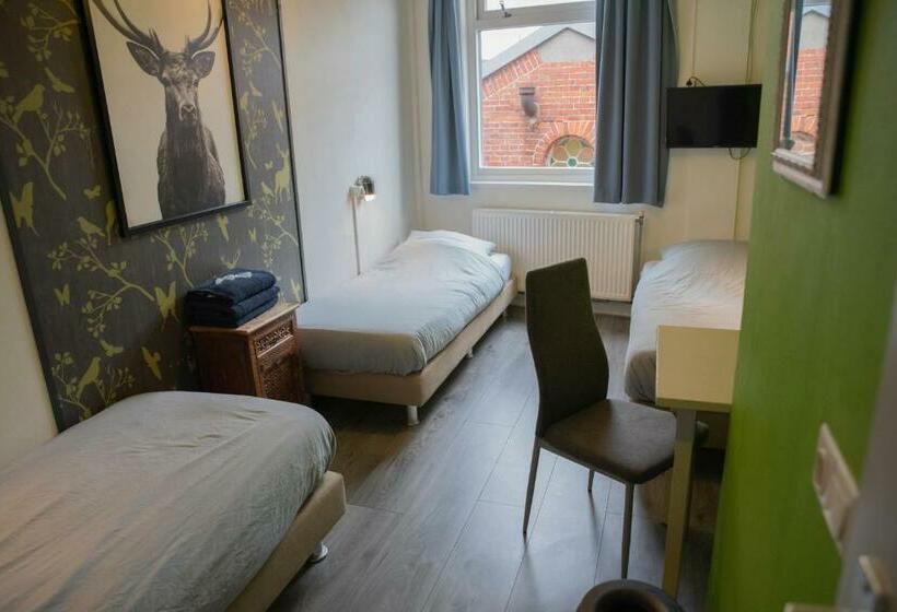 标准三人间, Simplon Hostel