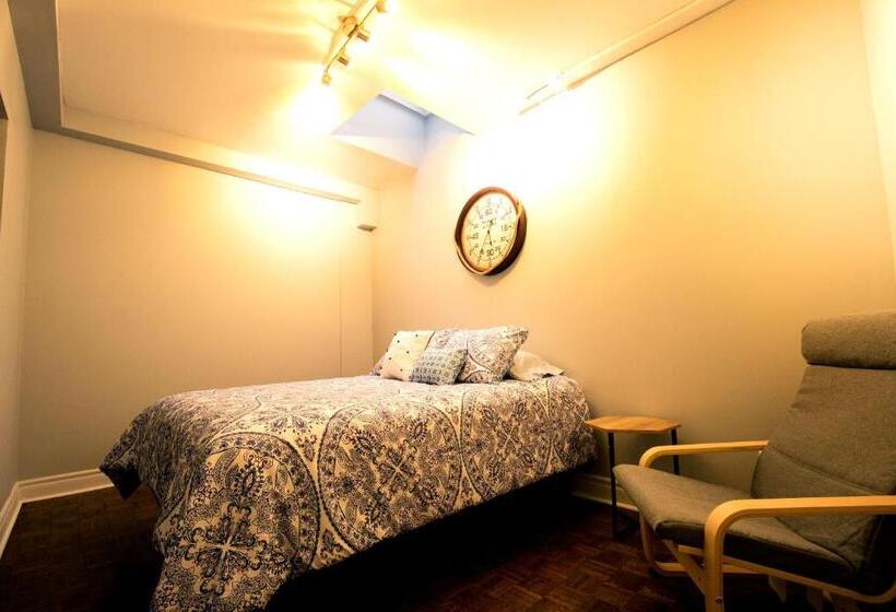 اتاق سوپریور, The Only Backpacker S Inn