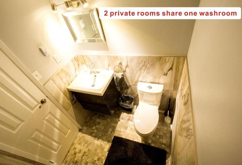 اتاق سوپریور, The Only Backpacker S Inn