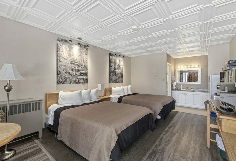 Номер Стандарт 2 Двуспальные Кровати, Catalina Motel