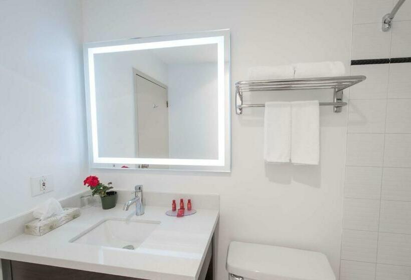 Стандартный Номер Кровать Кинг, Surestay Hotel By Best Western Castlegar