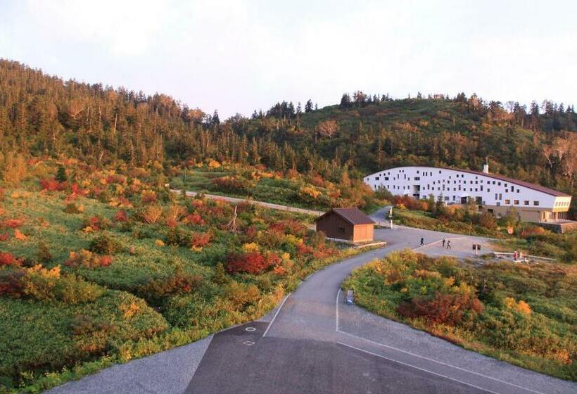 Номер Стандарт, Midagahara