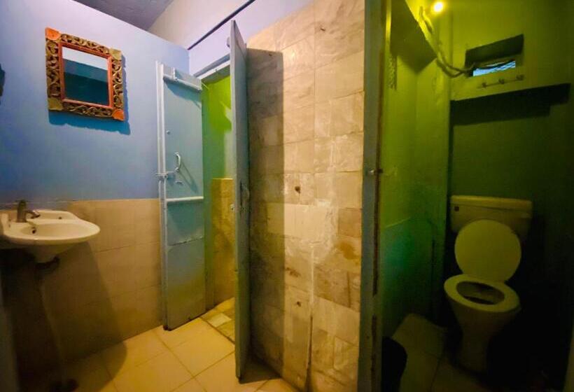 豪华房间, Bob Hostel