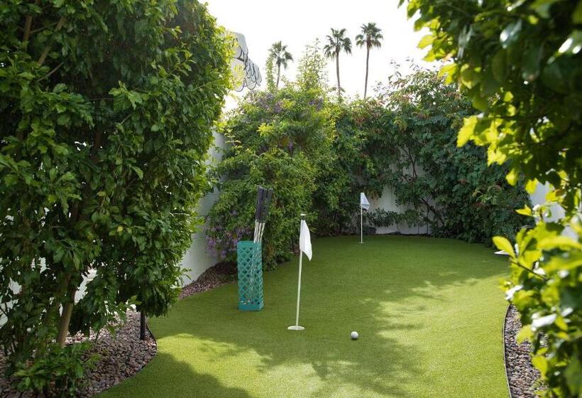سوئیت با وان آب گرم, Dive Palm Springs
