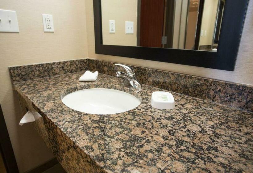 带大床的高级房间, Drury Inn & Suites Springfield Mo