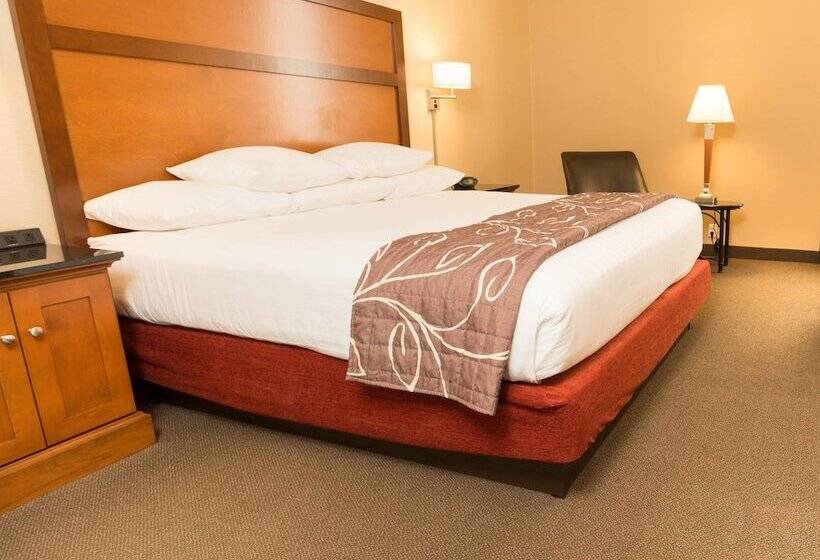 适用于残疾人士的豪华房间, Drury Inn & Suites Springfield Mo