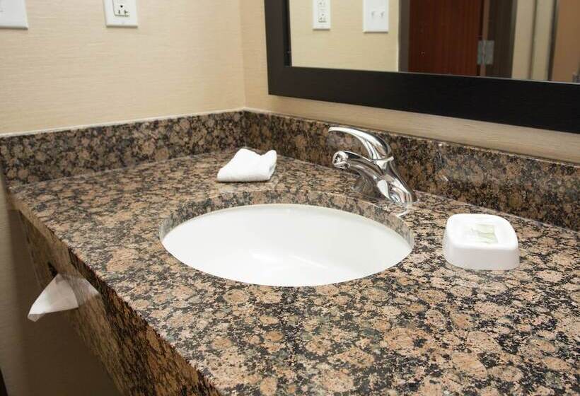 Номер Deluxe Адаптированный для Инвалидов, Drury Inn & Suites Springfield Mo