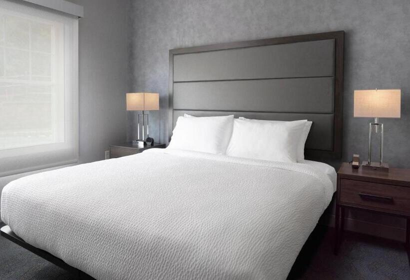 Люкс Кровать Кинг, Residence Inn By Marriott Orangeburg
