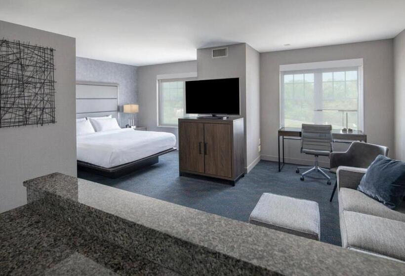 Студио Стандарт Кровать Кинг, Residence Inn By Marriott Orangeburg