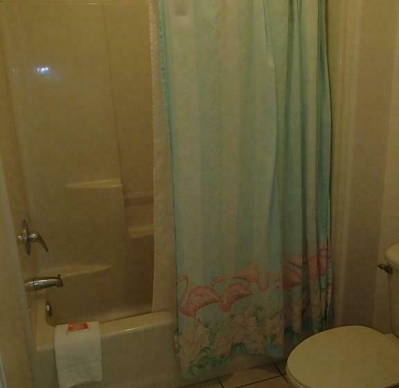 Habitació Estàndard, Flamingo Inn