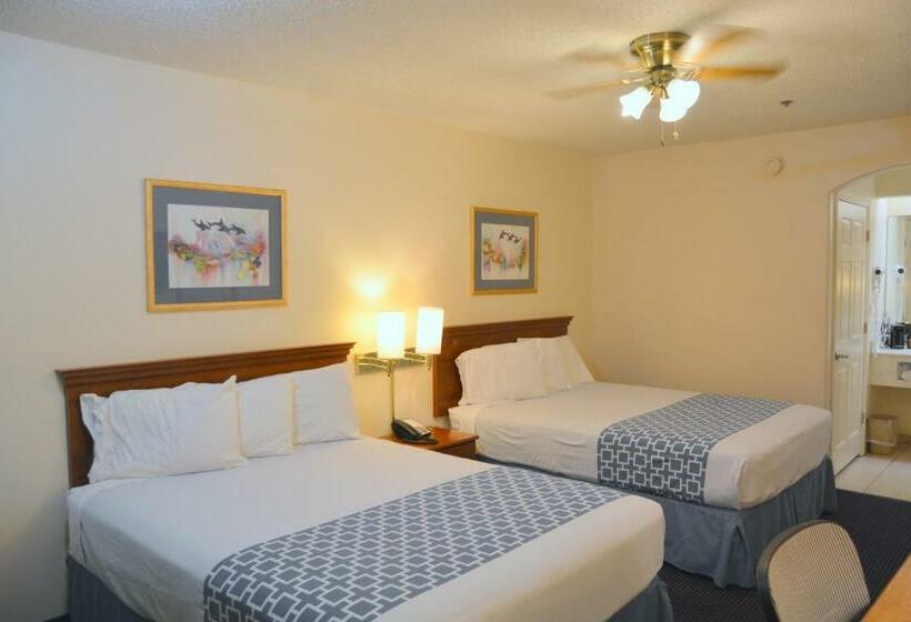 Habitació Estàndard, Flamingo Inn