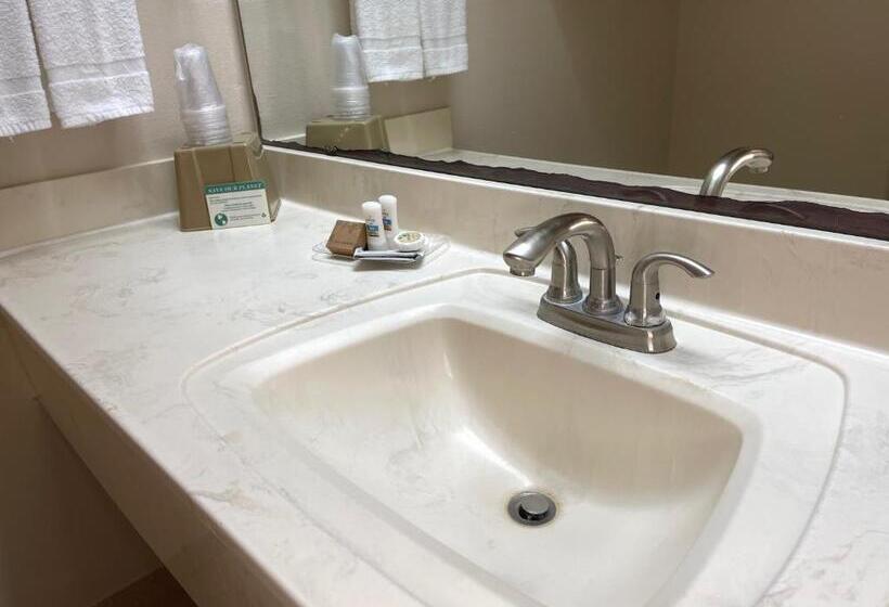 Habitació Estàndard Llit King, Flamingo Inn