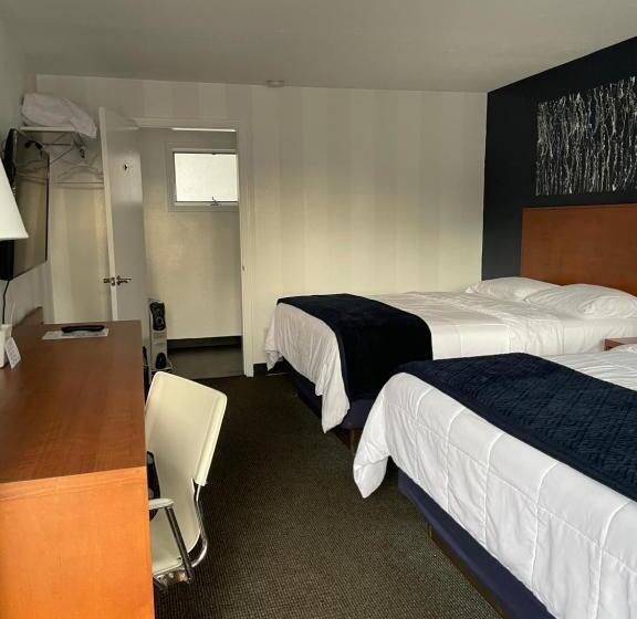 Номер Стандарт, Starlite Resort