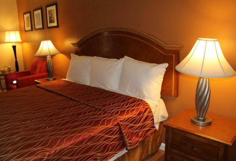 스탠다드 룸 킹사이즈 침대, Franciscan Inn Motel