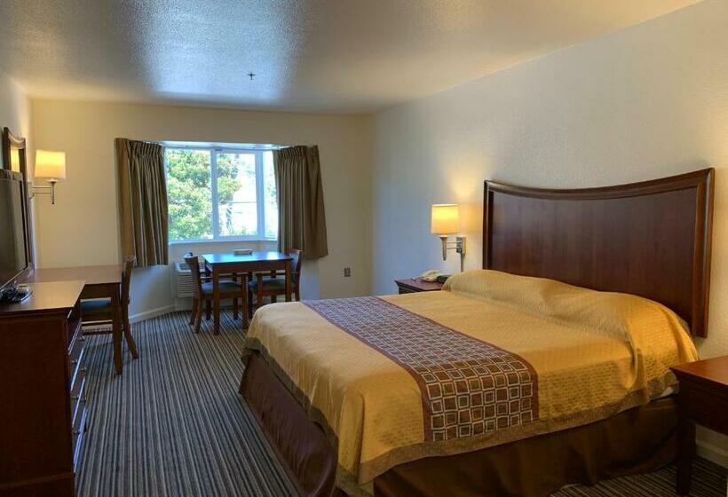Стандартный Номер Кровать Кинг, Airport Inn